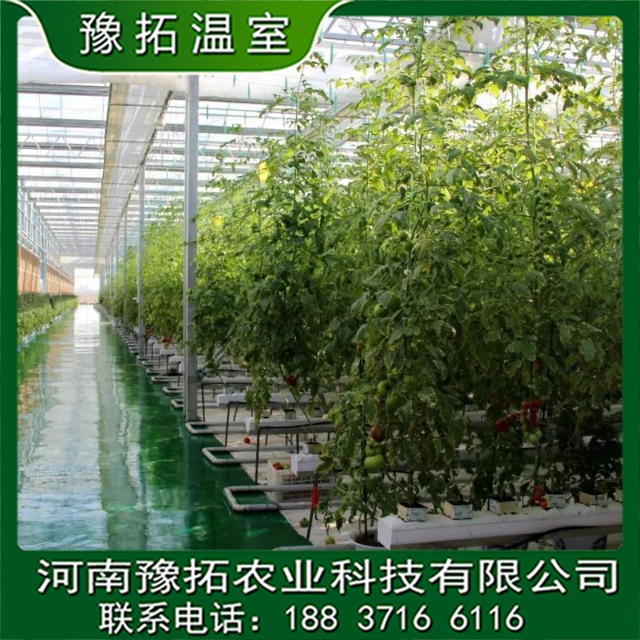 安裝智能玻璃溫室定制  安裝智能玻璃溫室生產(chǎn)廠家 設(shè)計(jì)施工智能玻璃溫室 設(shè)計(jì)連棟智能玻璃溫室