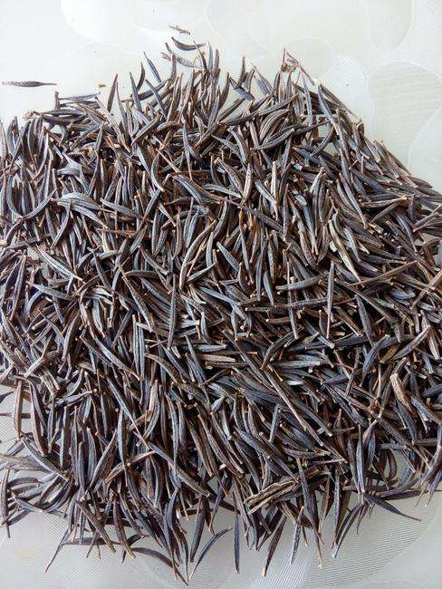 波斯菊種子廣西南寧格?；ɑɑ芊N子邊坡綠化常用花種