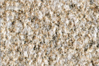 卡基諾金光面哪里便宜  卡基諾金光面廠家