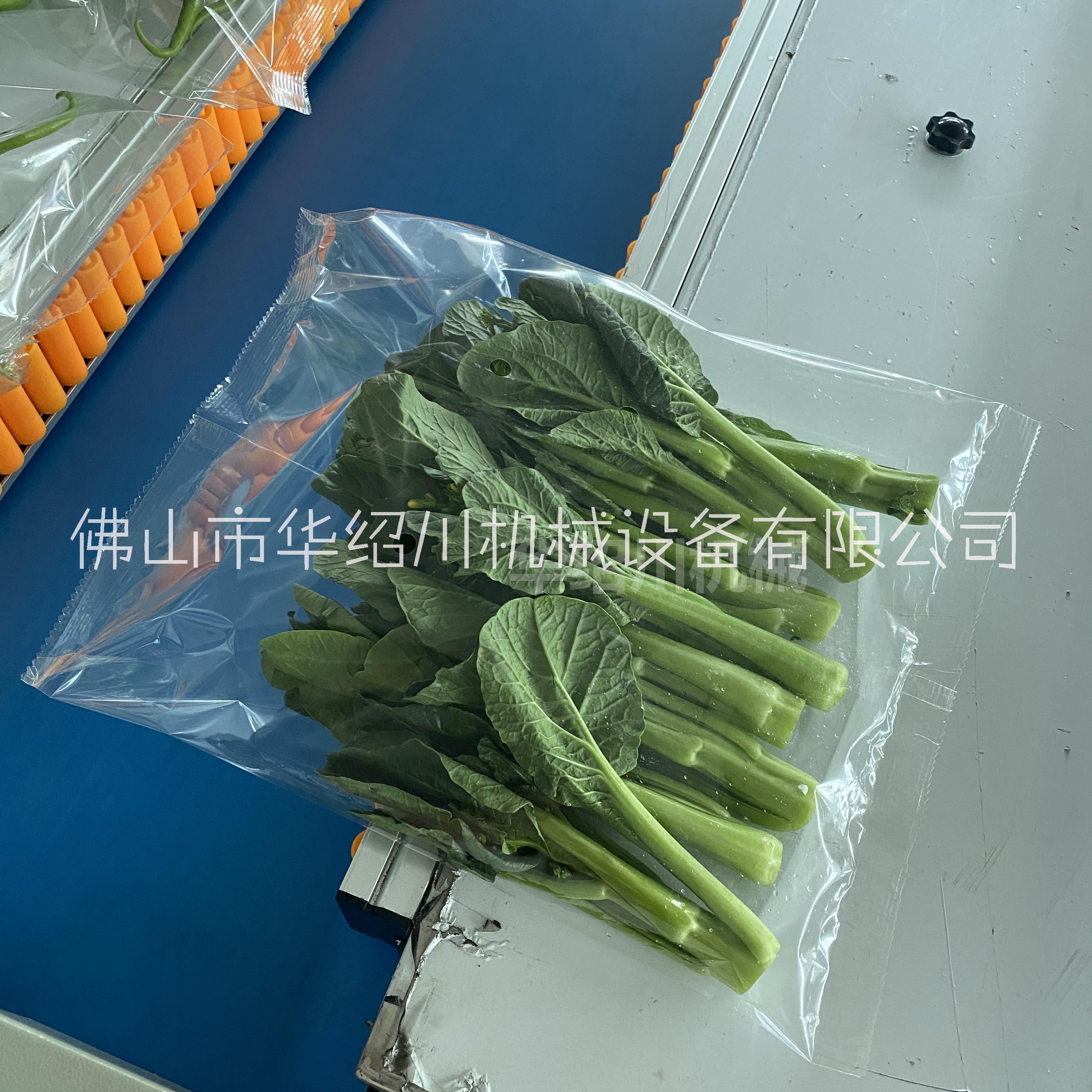 全自動(dòng)蔬菜包裝機(jī) 華紹川機(jī)械600型號(hào) 青菜果蔬打包機(jī)