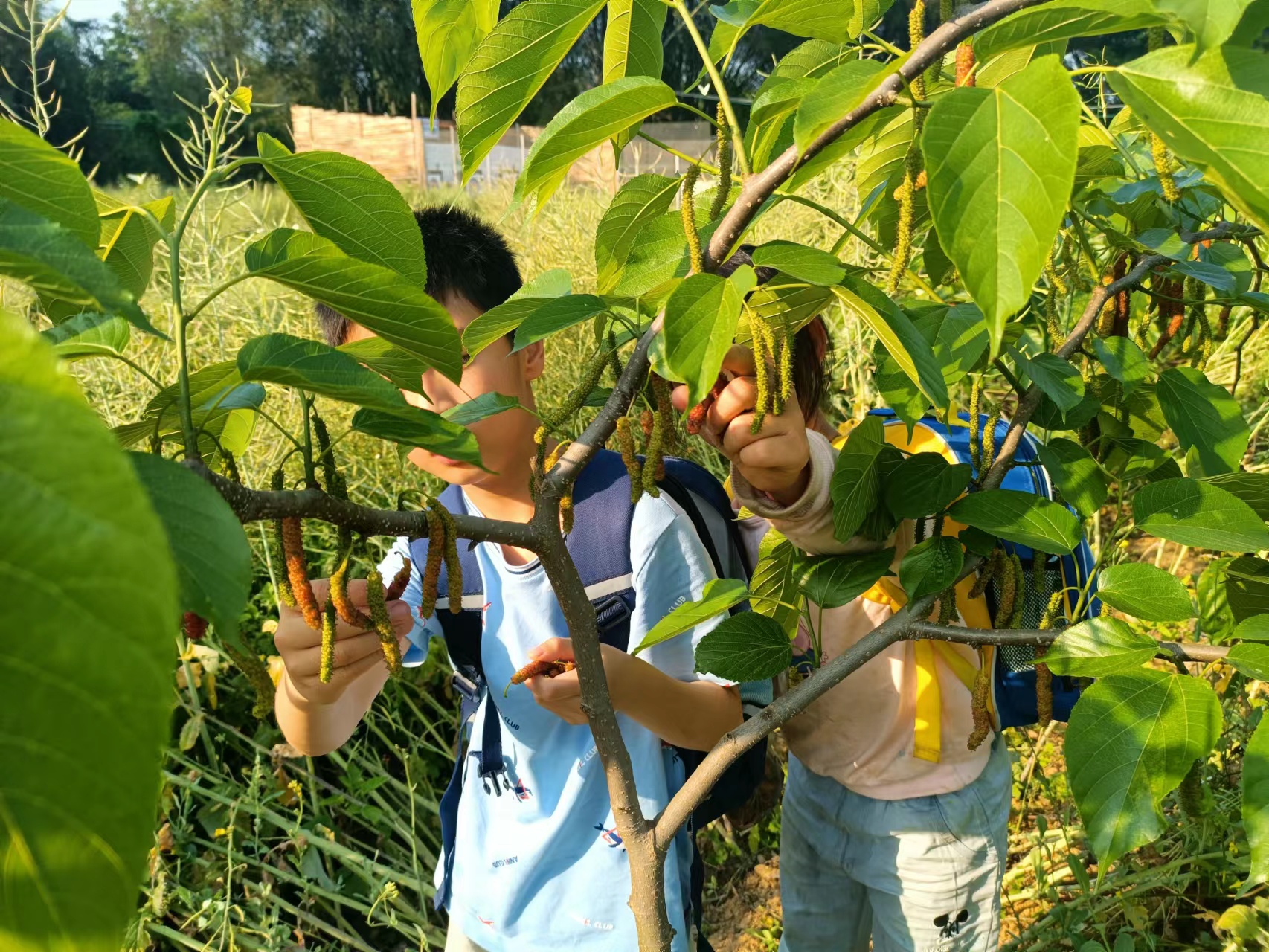 2022年*惠州農(nóng)家樂旅行攻略