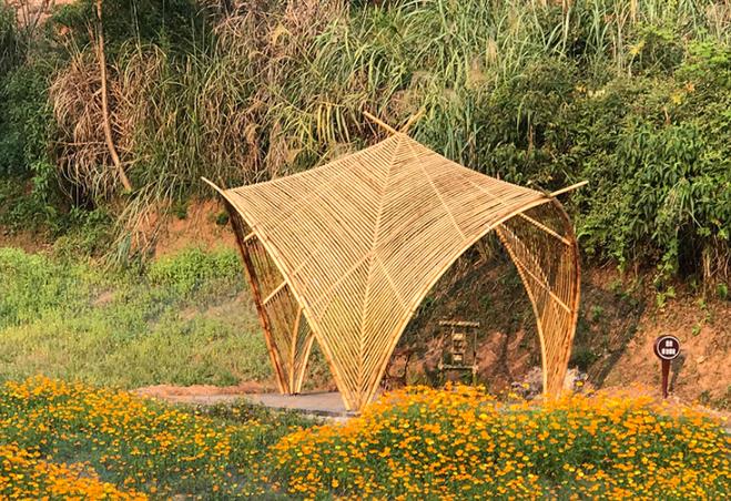 四川宜賓：菊花展七座竹藝雕塑 特色竹景觀建筑