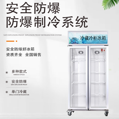 雙門防爆冷藏冰箱，醫(yī)用防爆冰箱