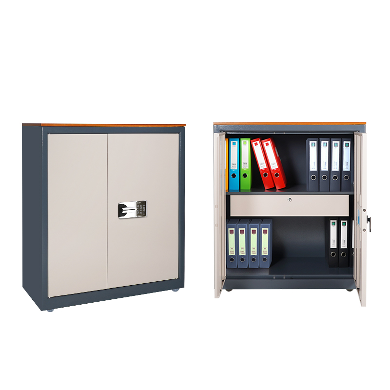 廣東保密柜廠家 虹保保密柜商用保密文件柜 財務(wù)辦公室檔案資料柜 M103-YE1