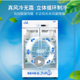 319冷藏柜立式雙門(mén)800L滑輪移動(dòng)醫(yī)用存儲(chǔ)