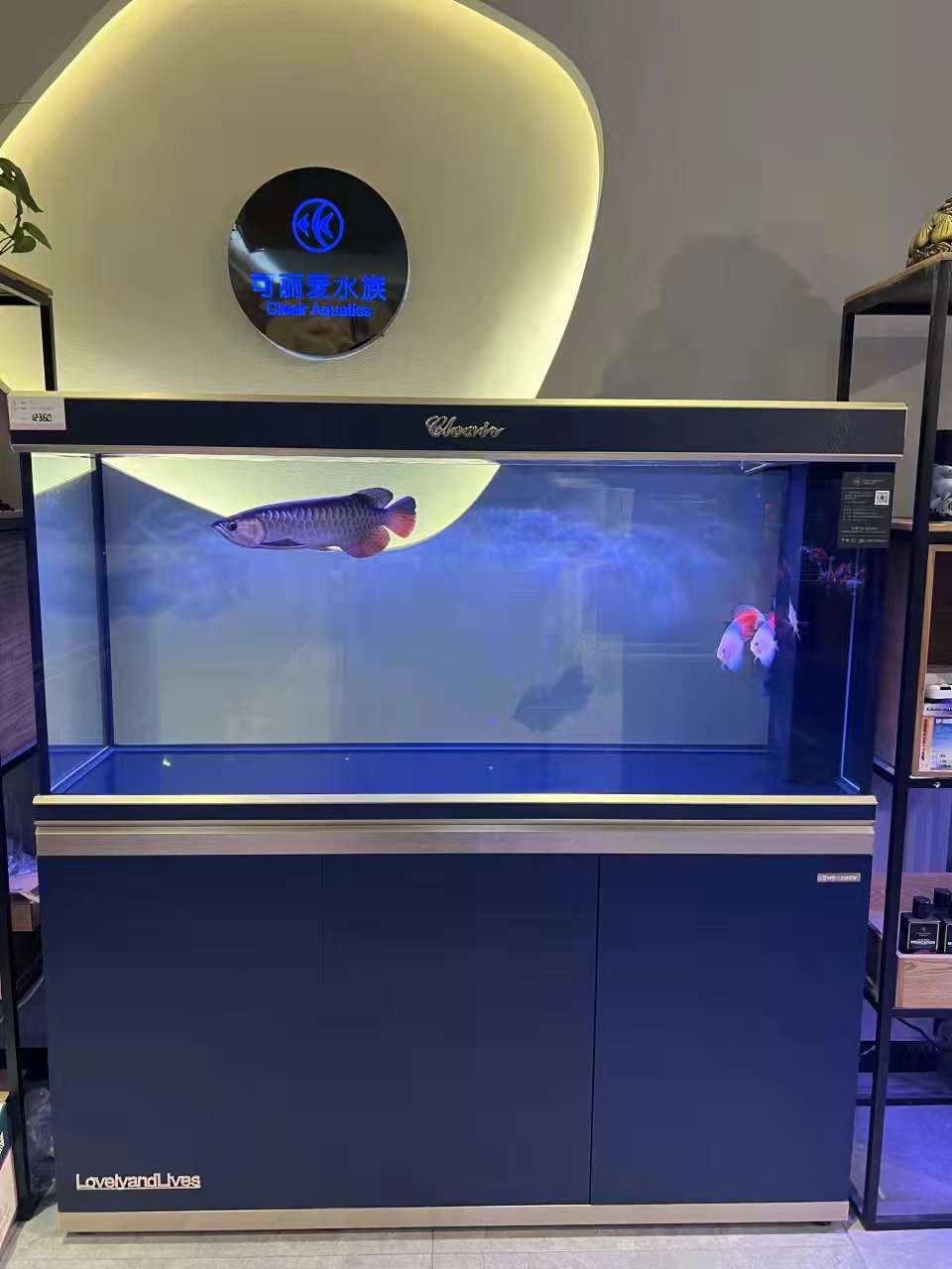 廣東珠海護(hù)理魚(yú)缸服務(wù)- 魚(yú)缸清洗價(jià)格-聯(lián)系電話(huà)