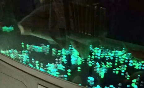 夜光石頭 人造夜光石 稀土夜光粉石頭