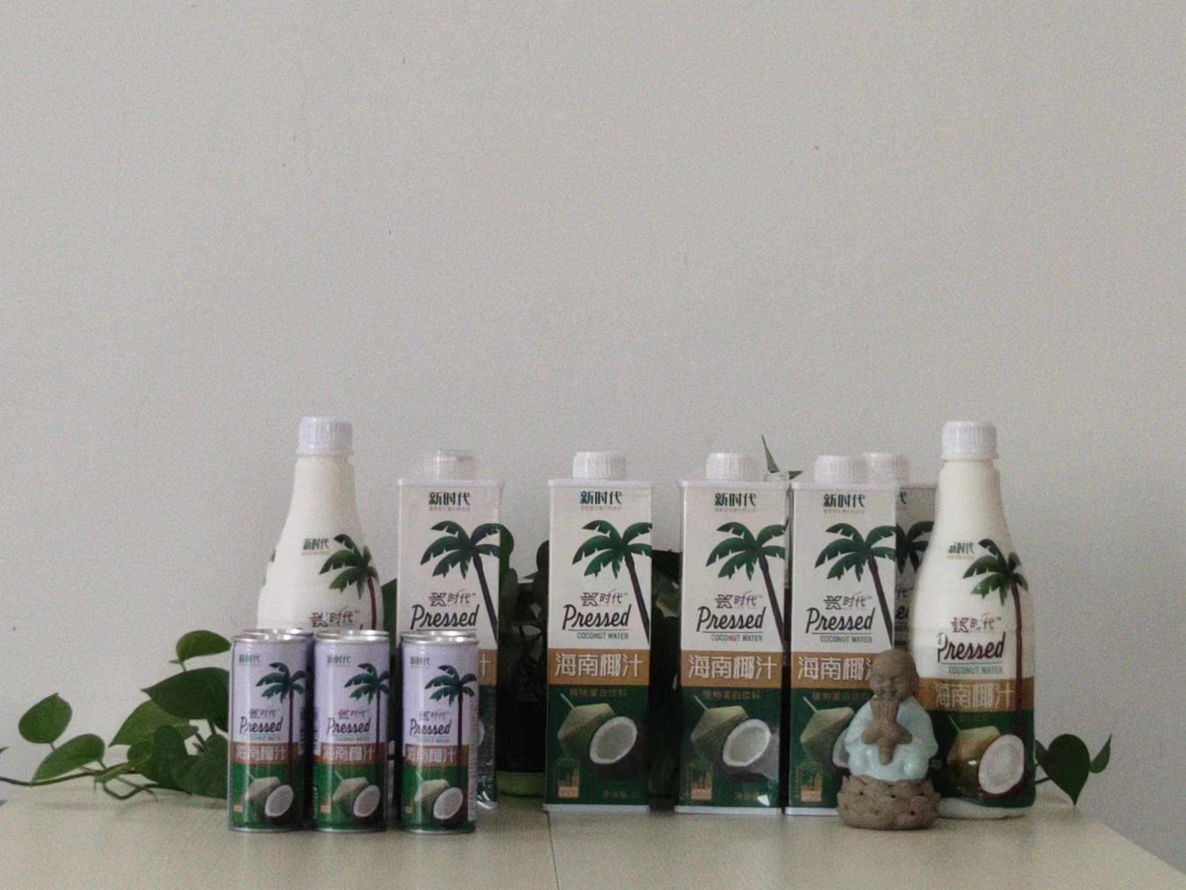 椰子汁廠家招代理