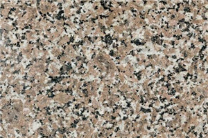 五蓮花哪里有  五蓮花多少錢