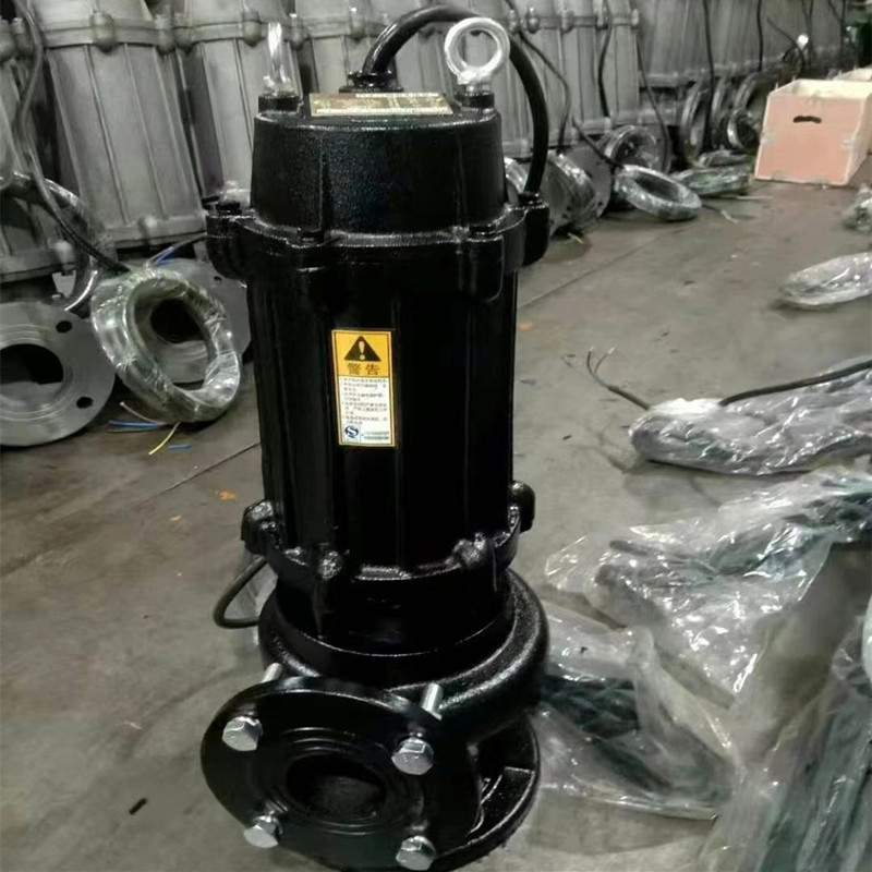 山東潛污泵廠家 生產(chǎn)直銷 價格 哪家好