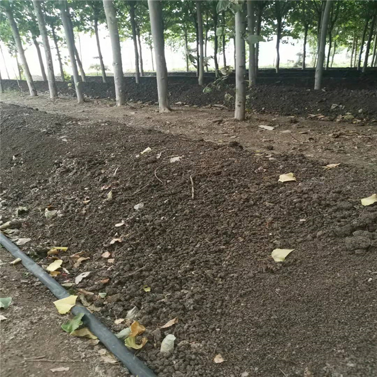 蚯蚓土廠家供應_報價_廠家【石家莊苗愛發(fā)生態(tài)農(nóng)業(yè)科技有限公司】