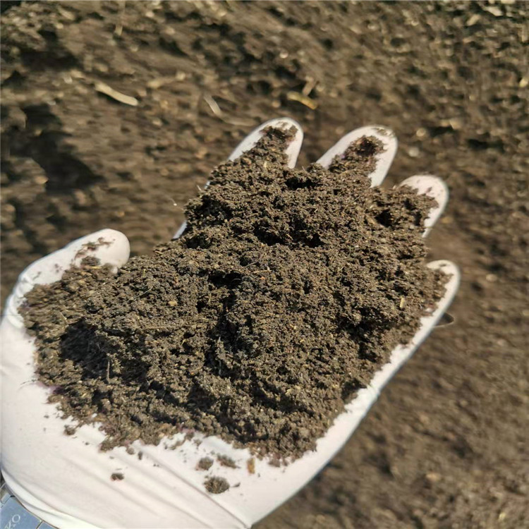 種植土供應(yīng)商_廠家報(bào)價(jià)_生產(chǎn)廠家_生產(chǎn)商【石家莊苗愛發(fā)生態(tài)農(nóng)業(yè)科技有限公司】
