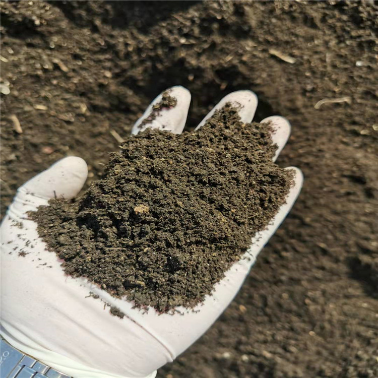 種植土供應(yīng)商_廠家報(bào)價(jià)_生產(chǎn)廠家_生產(chǎn)商【石家莊苗愛發(fā)生態(tài)農(nóng)業(yè)科技有限公司】
