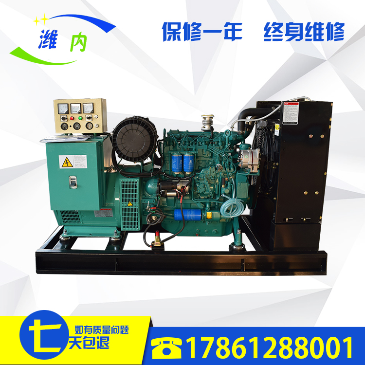 濰柴發(fā)電機(jī)組 50kw 配斯坦福全銅無刷電機(jī)