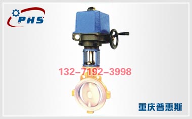 電動(dòng)耐腐蝕調(diào)節(jié)閥 電動(dòng)襯氟調(diào)節(jié)閥 ZDLPF電動(dòng)襯氟單座調(diào)節(jié)閥
