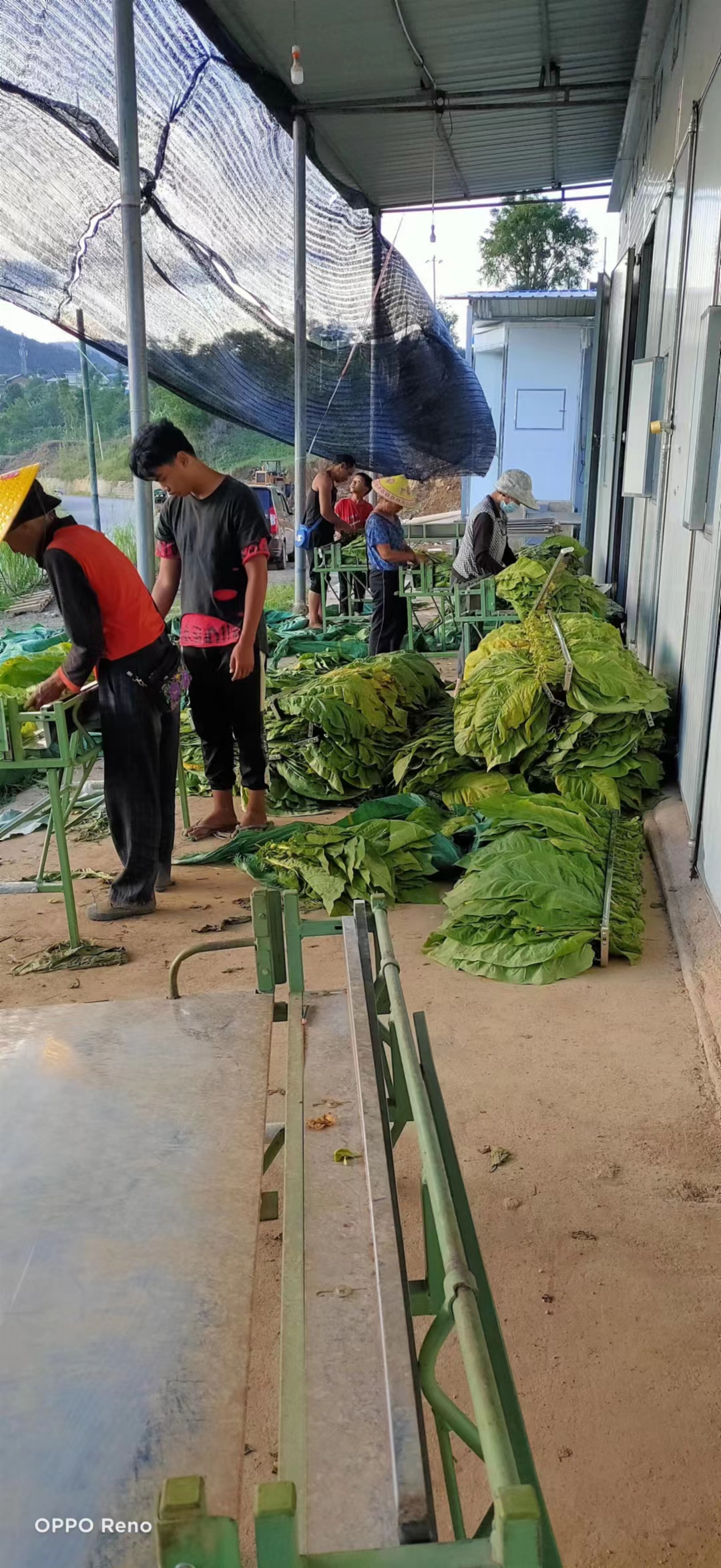 不銹鋼梳式煙夾