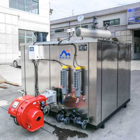 WNS1.0-0.8-YQ 冷凝式燃?xì)庹羝l(fā)生器