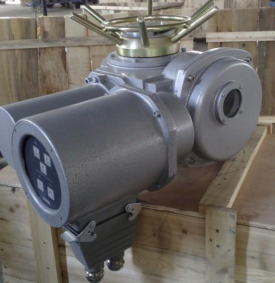 供應(yīng) DZW30-24-A00-WK電動執(zhí)行器