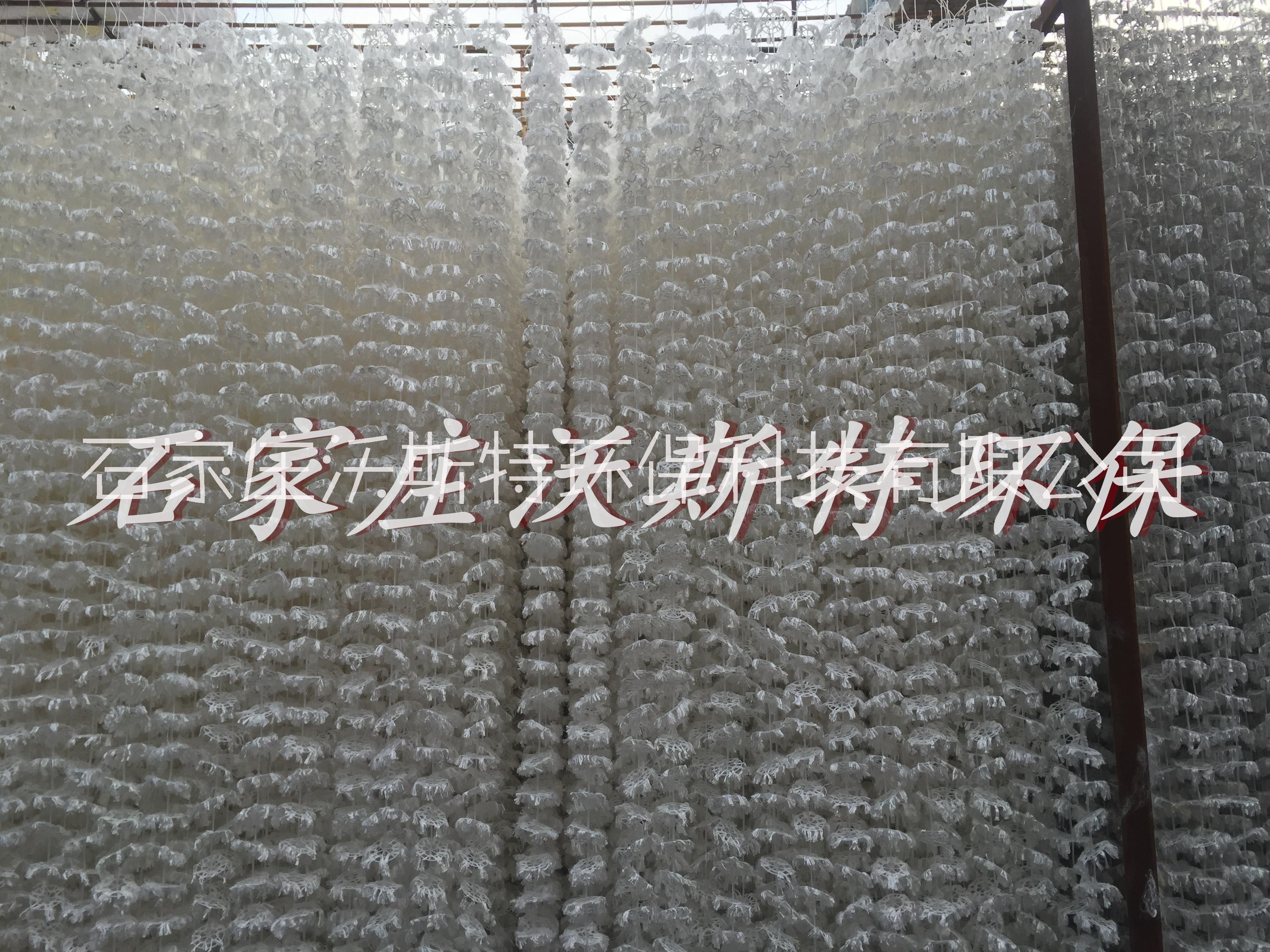 組合生物填料好氧池懸掛式組合填料廠家