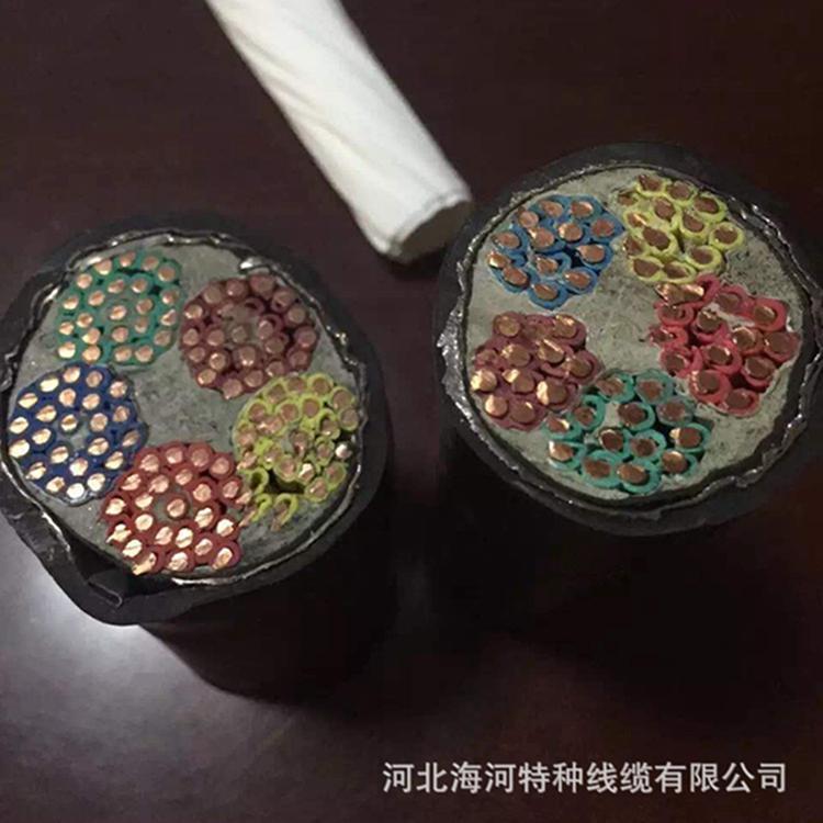 河北海河架空絕緣電纜批發(fā) DJYVP控制電纜批發(fā) 耐高溫180度耐臭氧