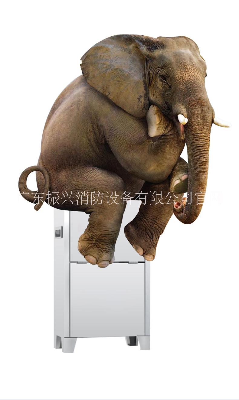 不銹鋼滅火箱廠(chǎng)家報(bào)價(jià)_批發(fā)商_生產(chǎn)供應(yīng)【廣東振興消防設(shè)備有限公司】