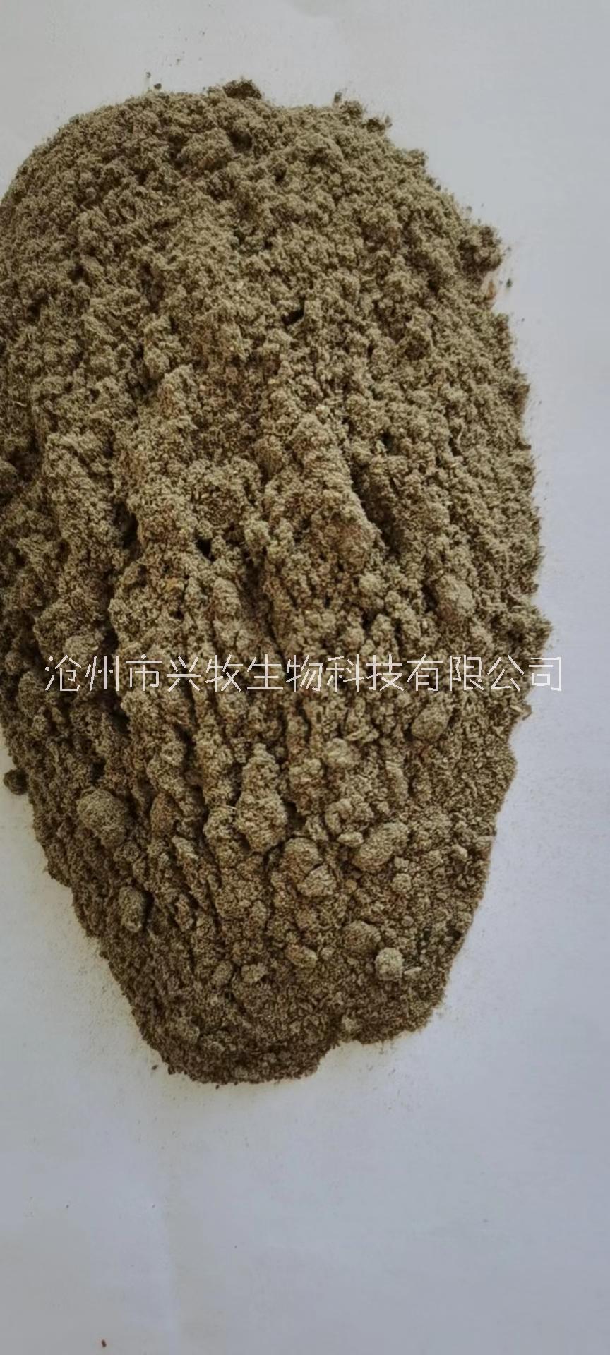 魚飼料高蛋白 混合發(fā)酵飼料 魚塘