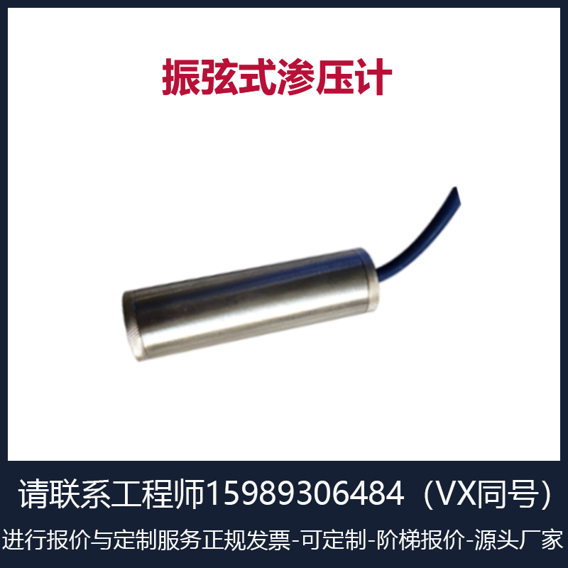 振弦式滲壓計(jì)/振弦式孔隙水壓力計(jì)/廠家直銷