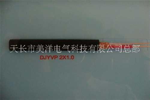 耐火計(jì)算機(jī)電纜