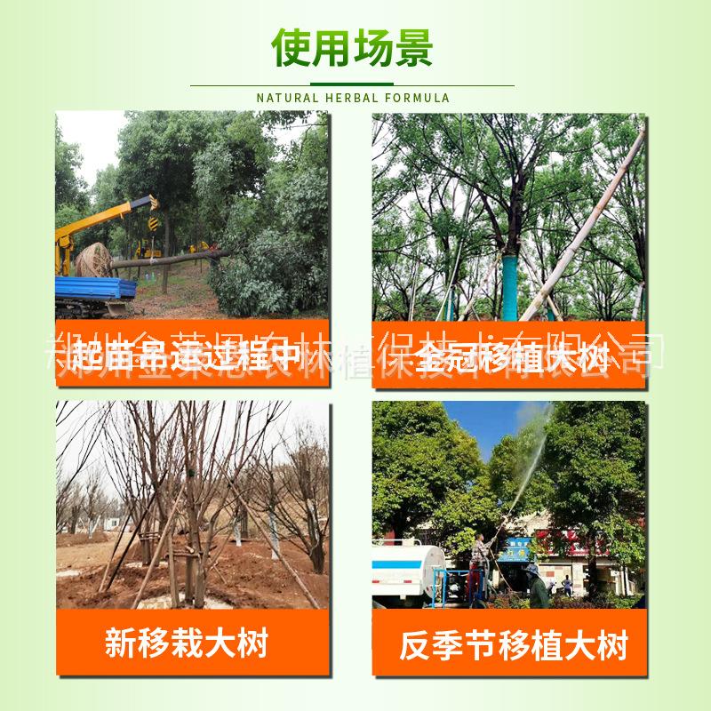 大樹抗蒸騰劑