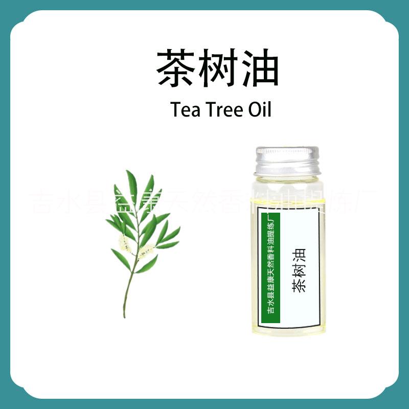益康植物 茶樹精油 單方精油 原料工廠批量供應(yīng)