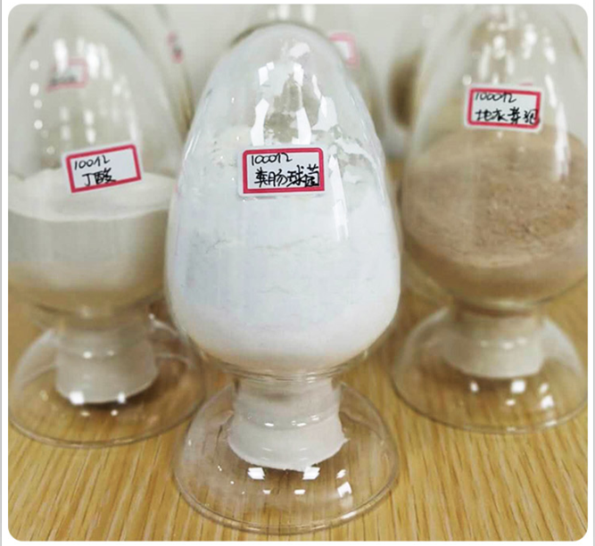 糞腸球菌飼料添加劑畜牧水產(chǎn)養(yǎng)殖促消化提高飼料轉(zhuǎn)化率