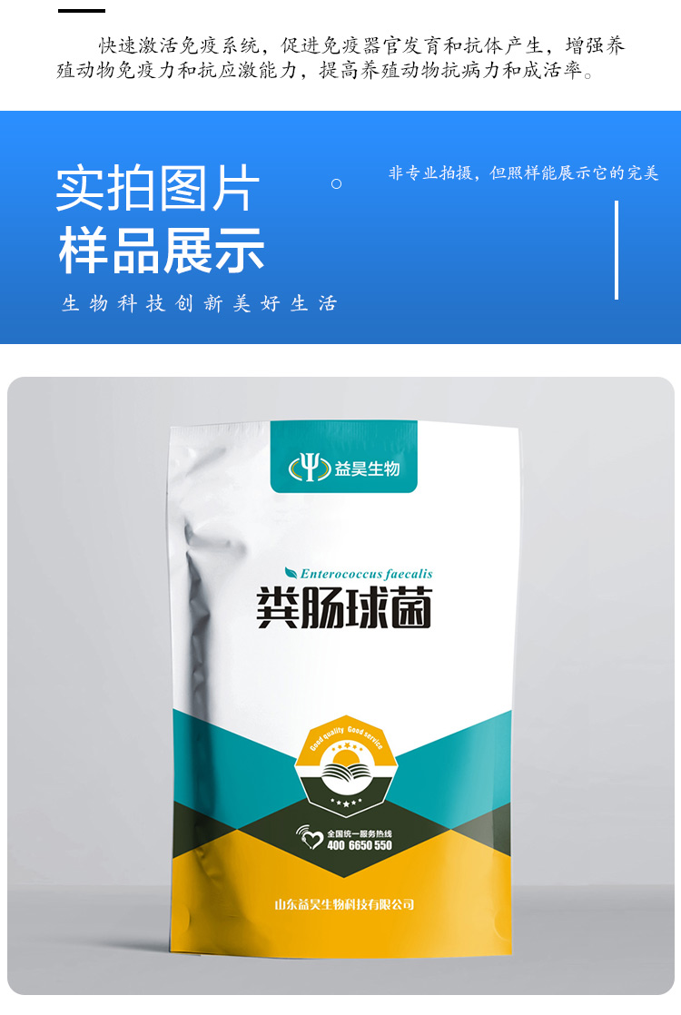 糞腸球菌飼料添加劑畜牧水產(chǎn)養(yǎng)殖促消化提高飼料轉(zhuǎn)化率