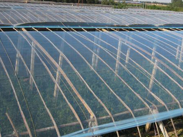 大棚膜廠家 大棚膜哪里便宜