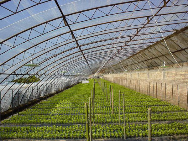 大棚膜廠家 大棚膜哪里便宜