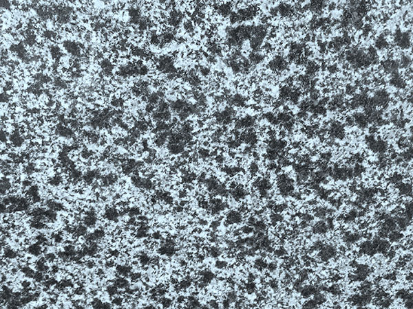 森林綠光面哪家好