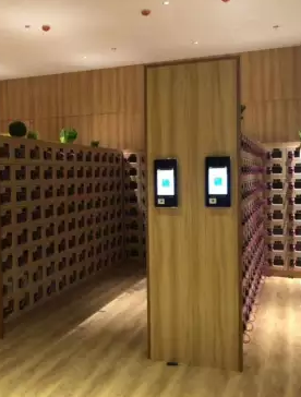 水上樂園游泳館掃碼開柜鎖無線聯(lián)網(wǎng)鎖自助取牌無需人工持發(fā)明