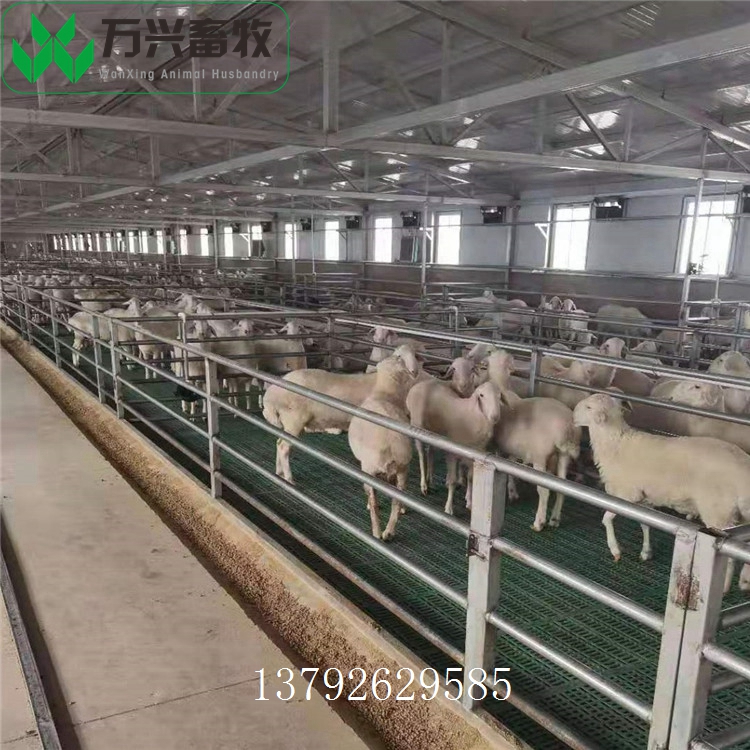 羊漏糞板 羊床用漏糞板 抗老化羊床