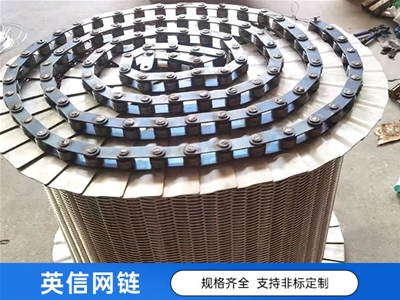 英信 供應(yīng)鏈板式輸送網(wǎng)帶廠商_不銹鋼網(wǎng)帶批發(fā)價格