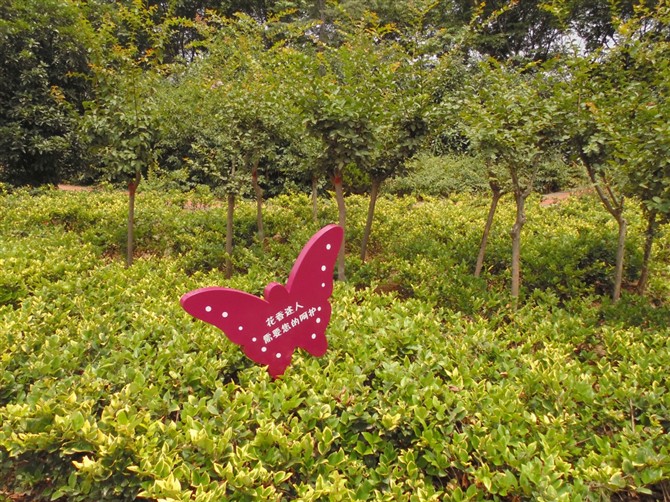 金華供應(yīng)園林綠化花草牌生產(chǎn)廠家-廠家報價-定制價格【永康羊鳳工貿(mào)有限公司】