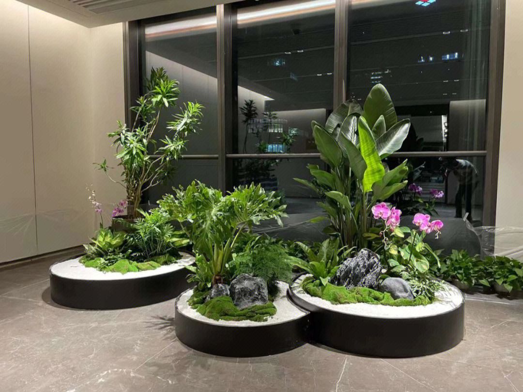 中山市辦公室綠植花卉租賃、中山租花公司