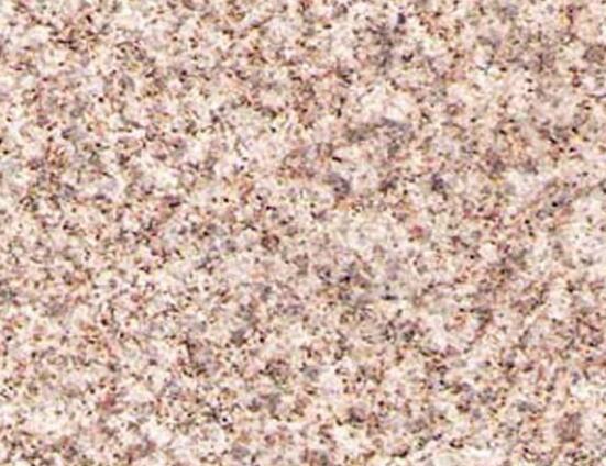 黃金麻 黃金麻批發(fā)價格 黃金麻廠家 黃金麻自然面