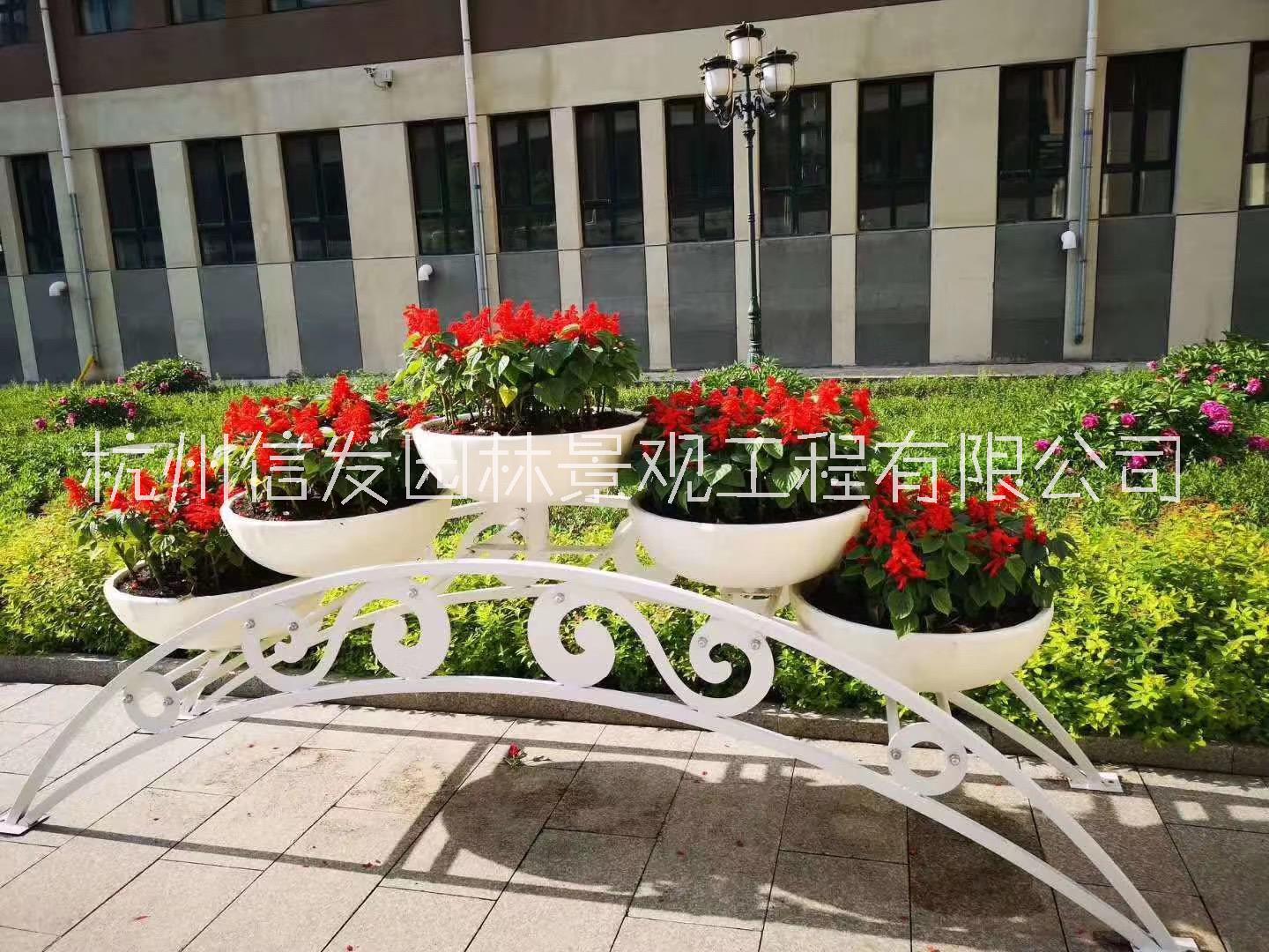 鐵藝花架鐵藝花盆鐵藝花器造型 蒲公英 四面獻(xiàn)禮 節(jié)節(jié)高 婀娜多姿 民族風(fēng) 祥云 古典 團(tuán)結(jié) 怒放花架花器