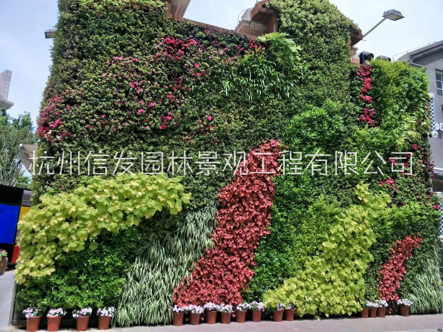 浙江植物墻施工杭州墻面綠化 山體護(hù)坡邊坡綠化 墻面垂直綠化 立體綠化施工公司  浙江植物墻施工杭州墻面垂直綠化