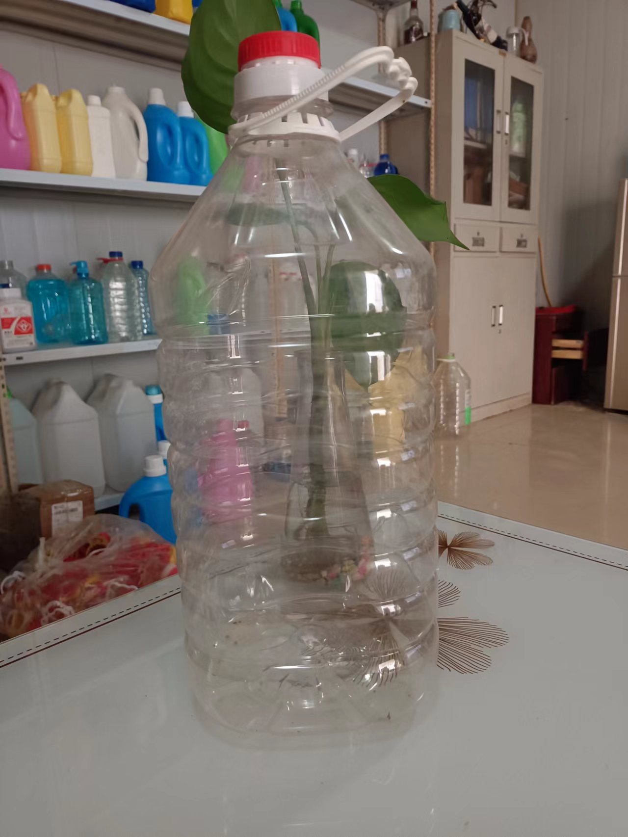 湖北襄樊市1L飲料瓶廠家，襄樊市2.5L食用油塑料桶，塑料壺生產(chǎn)