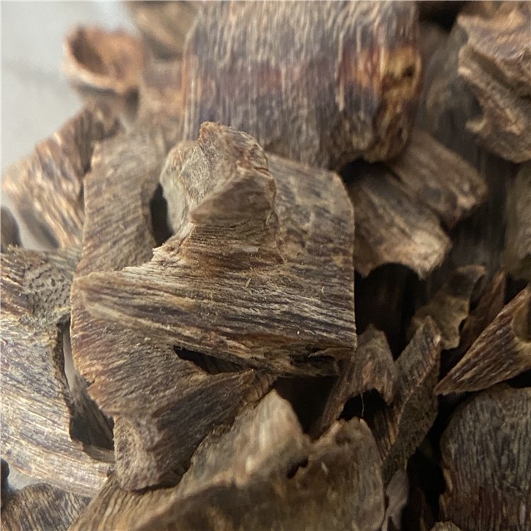 紅骨凹身沉香樹苗 包結(jié)香 精選苗木健康有活力 可提供技術(shù)指導(dǎo)