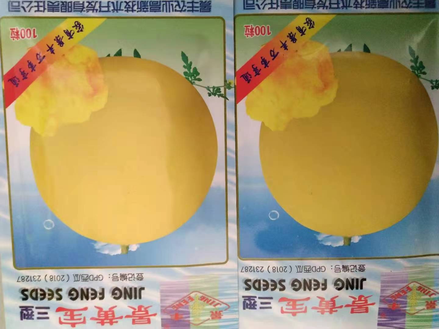 露天種植西瓜種子水果種子黃皮黃壤西瓜種子