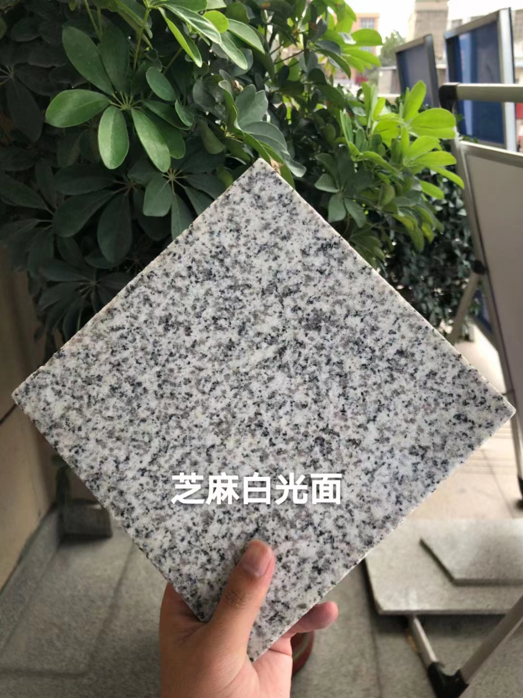 芝麻白光面價格 芝麻白光面供應(yīng)商