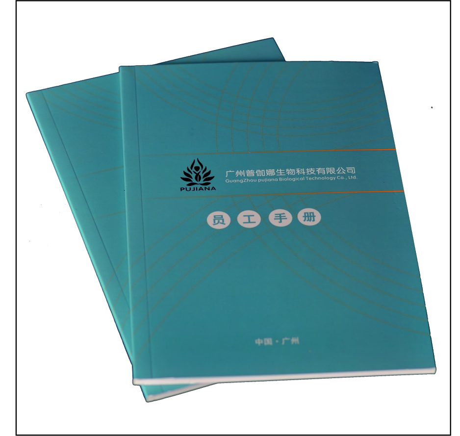 畫冊印刷 公司宣傳冊定制 宣傳單畫冊 產(chǎn)品畫冊 印刷海報