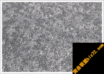 青石火燒板、火燒面青石板、青石火烤板、火烤面青石板