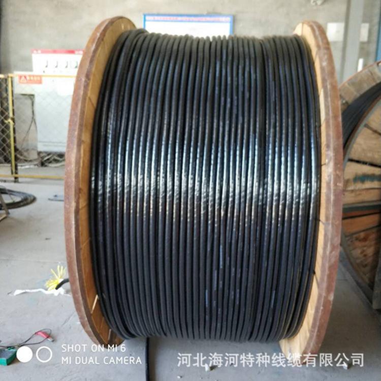 北京耐輻射、耐臭氧、耐老化、高阻燃硅橡膠控制屏蔽電纜生產(chǎn)廠家